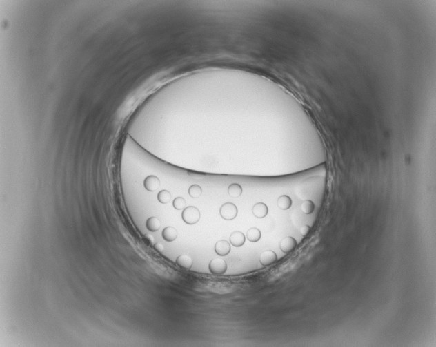 X0000087520341200705112012