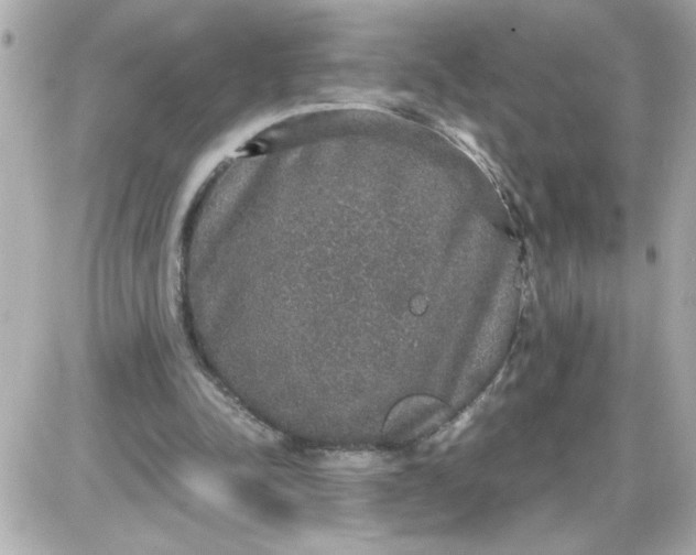 X0000087520342200705112012