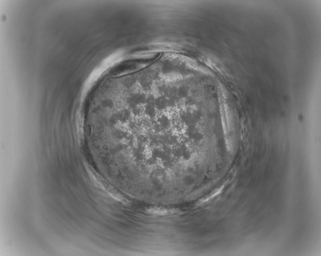 X0000087520343200705112012