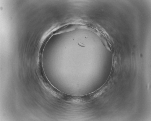 X0000087520344200705112012