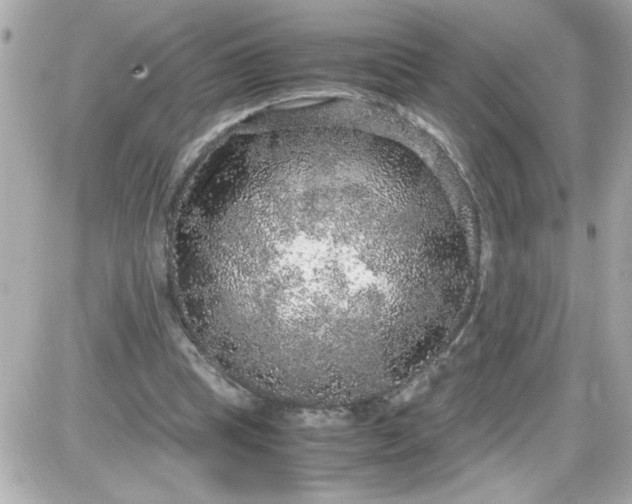 X0000087520345200705112012