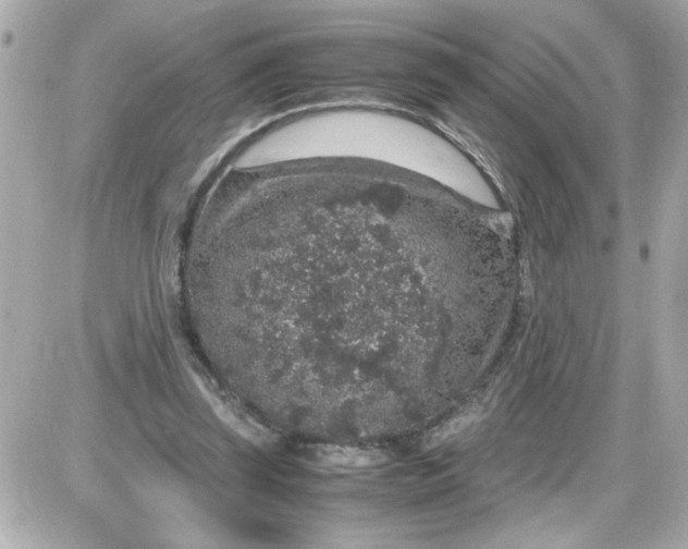 X0000087520347200705112012