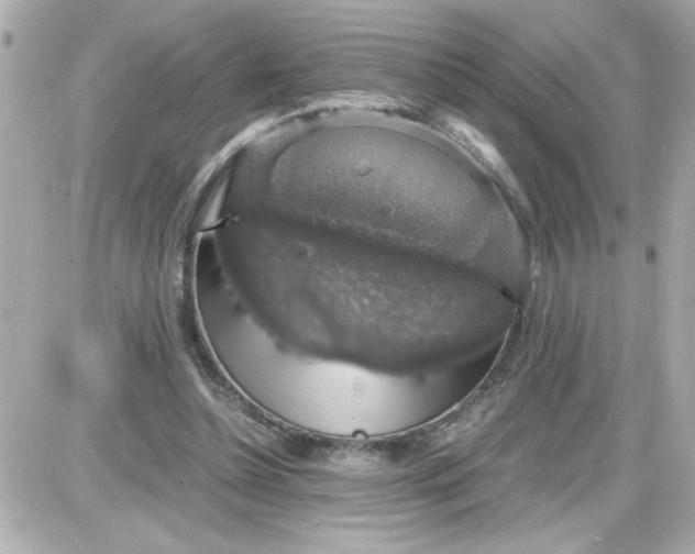 X0000087520348200705112012