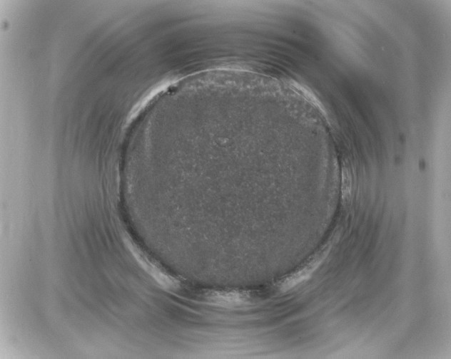 X0000087520349200705112012