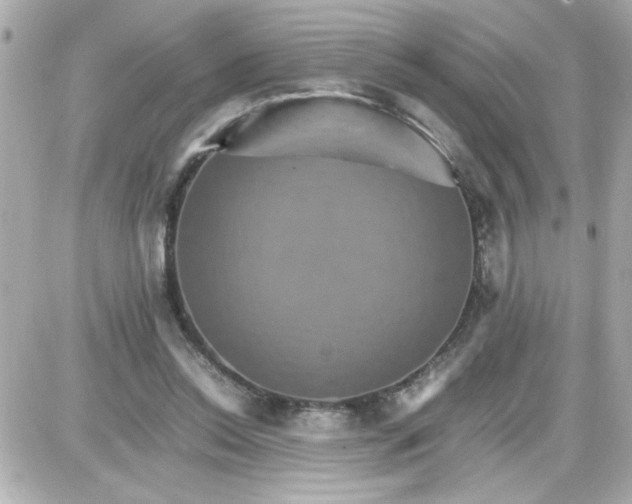 X0000087520350200705112012