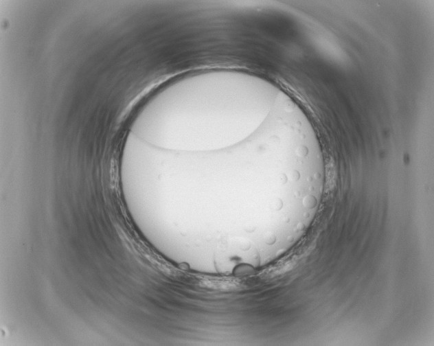 X0000087520351200705112012