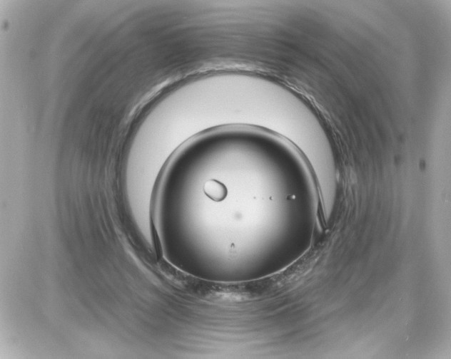 X0000087520352200705112012