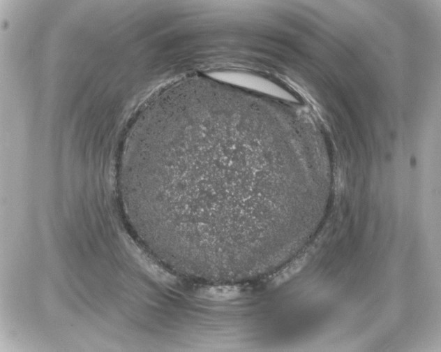 X0000087520353200705112012