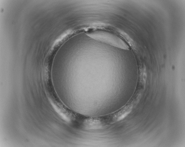 X0000087520354200705112012