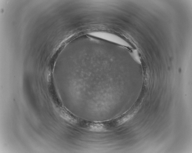 X0000087520355200705112012