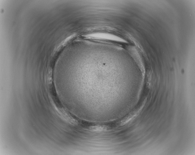 X0000087520356200705112012