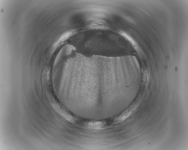 X0000087520357200705112012