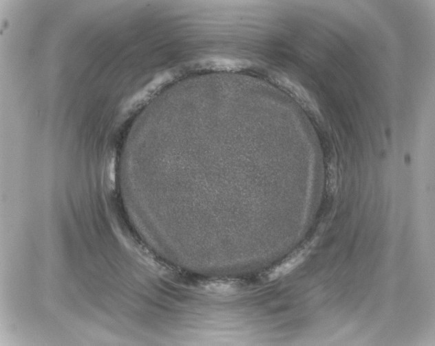 X0000087520358200705112012