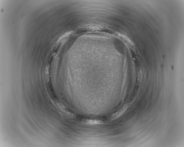 X0000087520360200705112012