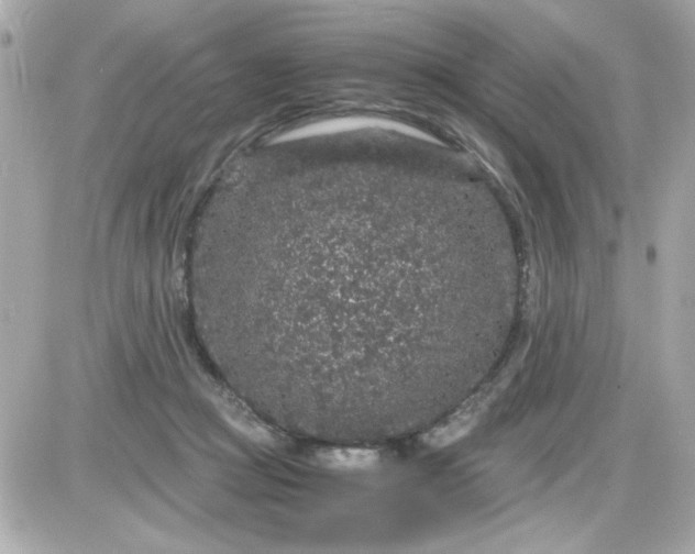 X0000087520361200705112012