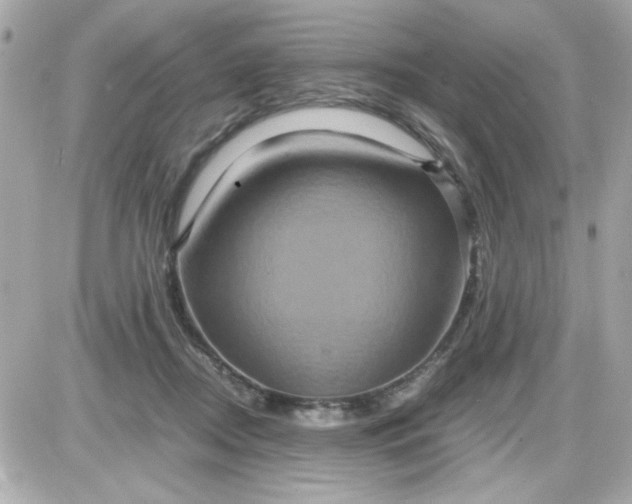 X0000087520362200705112012