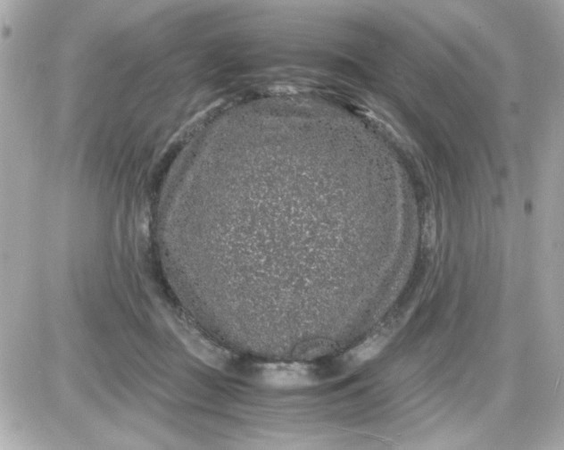 X0000087520363200705112012