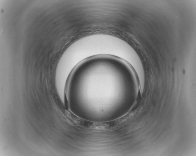 X0000087520368200705112012