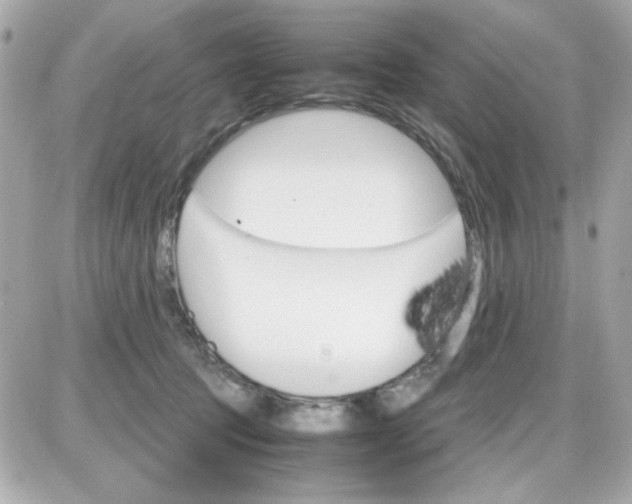 X0000087520369200705112012