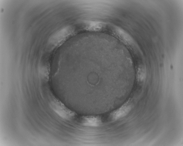 X0000087520370200705112012