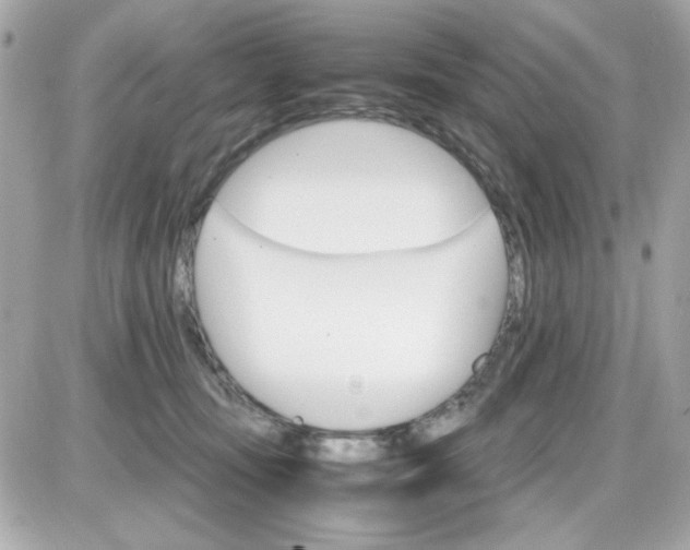 X0000087520371200705112012