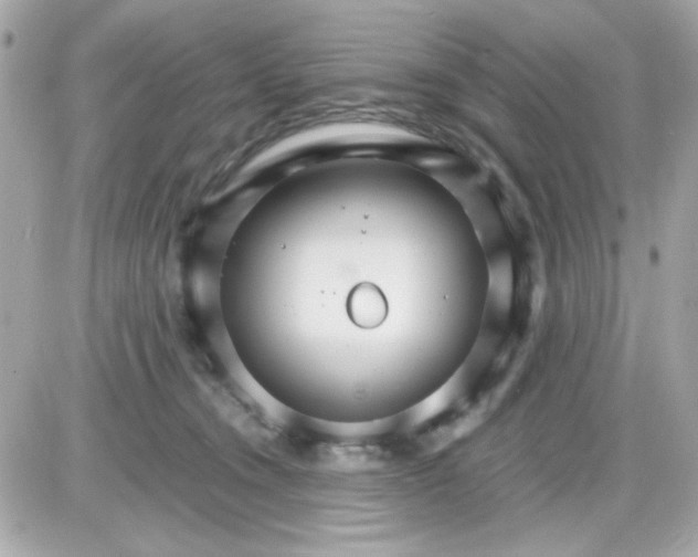 X0000087520372200705112012