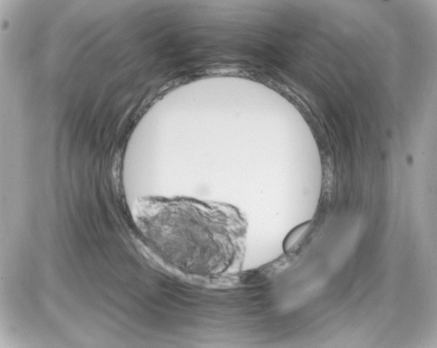 X0000087520373200705112012