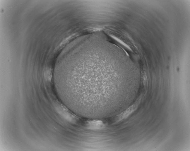 X0000087520374200705112012