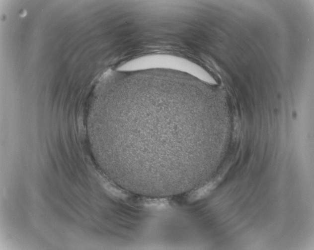 X0000087520377200705112012