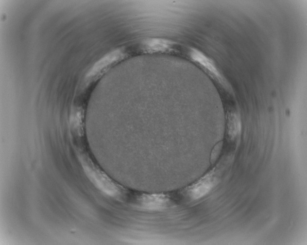 X0000087520378200705112012