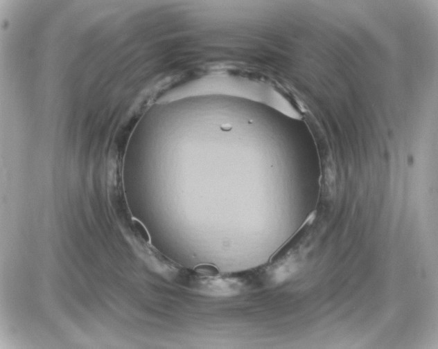 X0000087520379200705112012