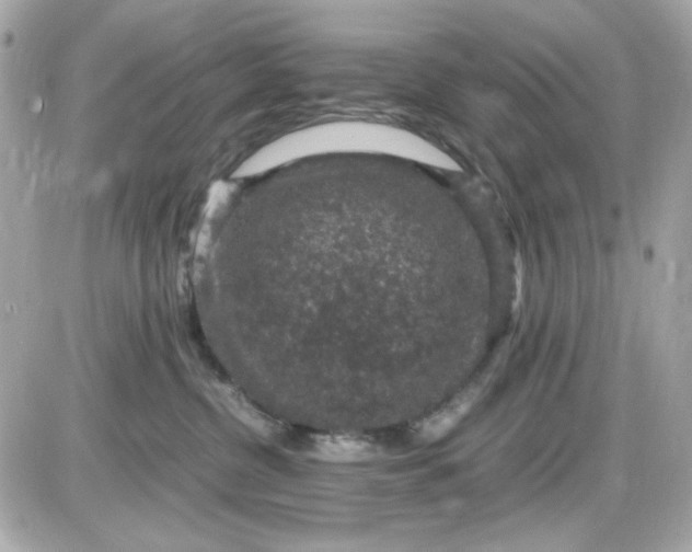 X0000087520380200705112012