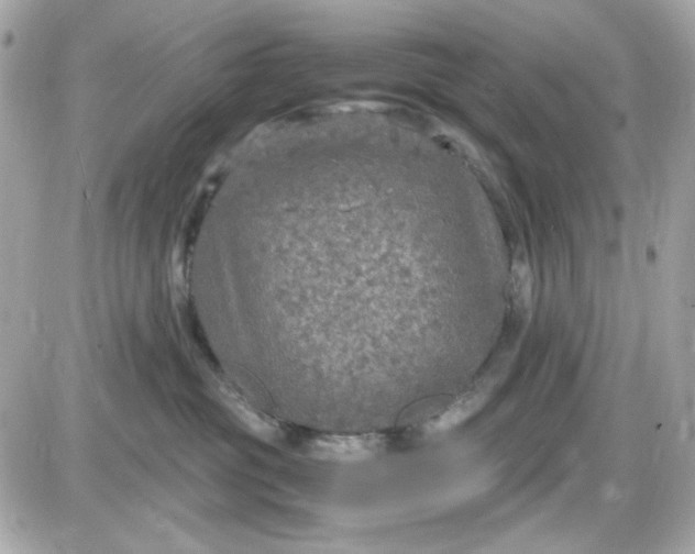 X0000087520381200705112012