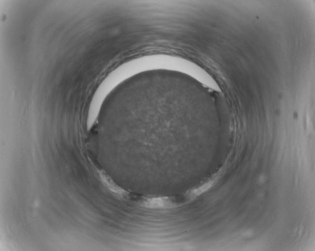 X0000087520382200705112012