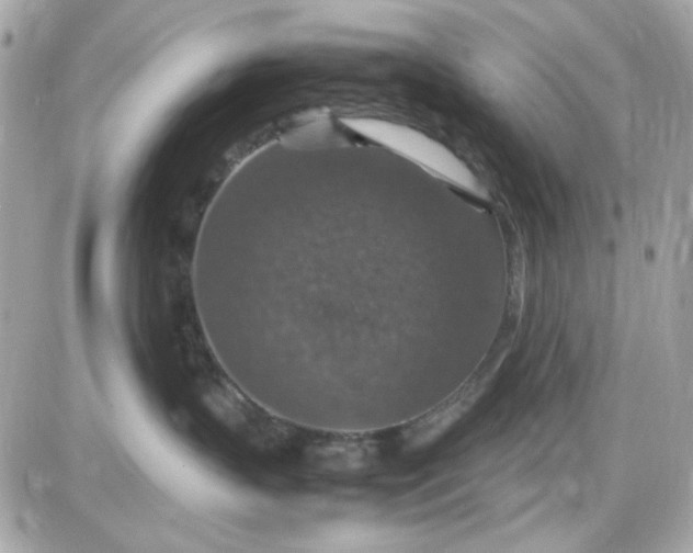 X0000087520383200705112012