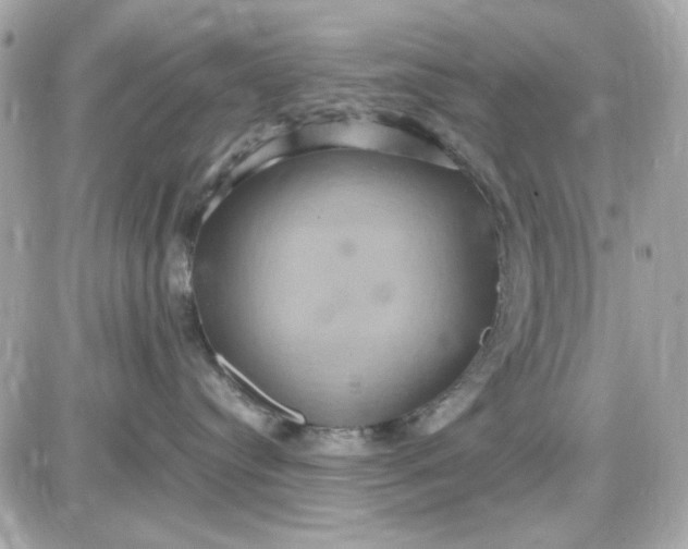 X0000087520384200705112012