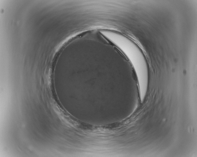 X0000087520387200705112011