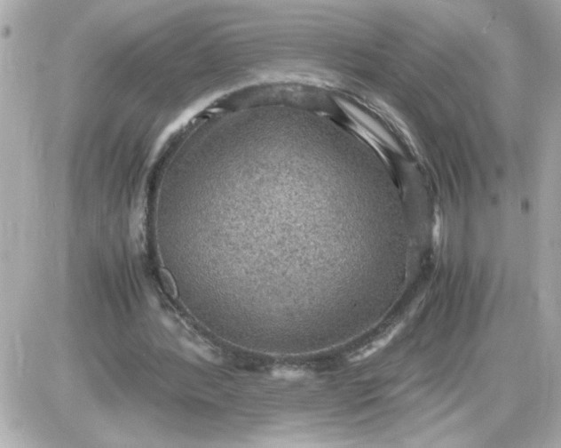 X0000087520388200705112011