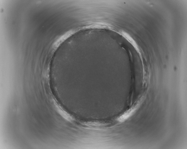 X0000087520389200705112011