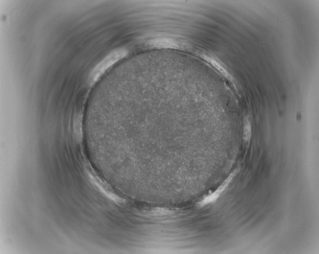 X0000087520390200705112011