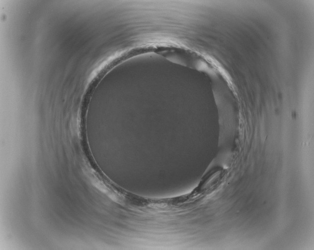 X0000087520391200705112011