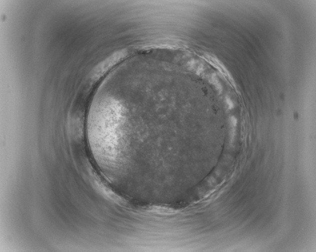 X0000087520393200705112011