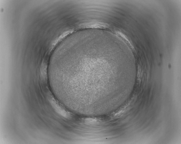 X0000087520394200705112011