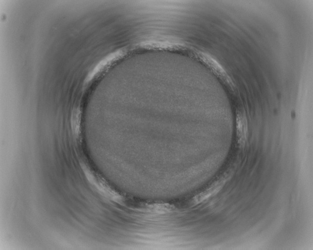 X0000087520396200705112011