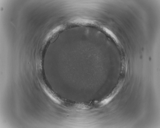 X0000087520399200705112011