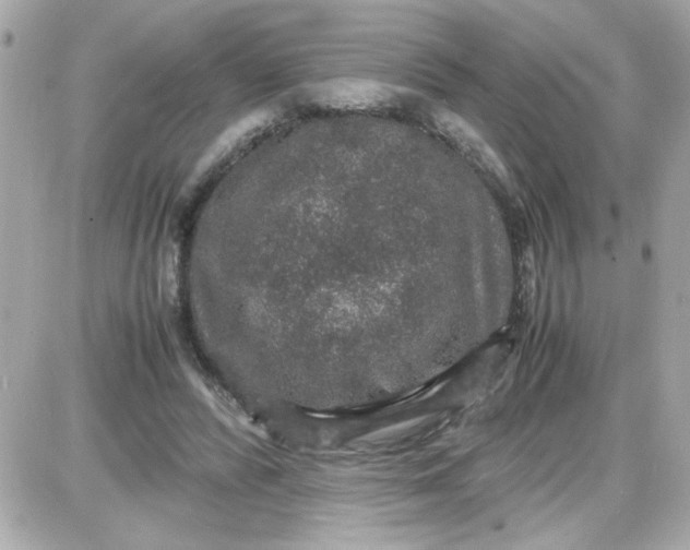 X0000087520400200705112011