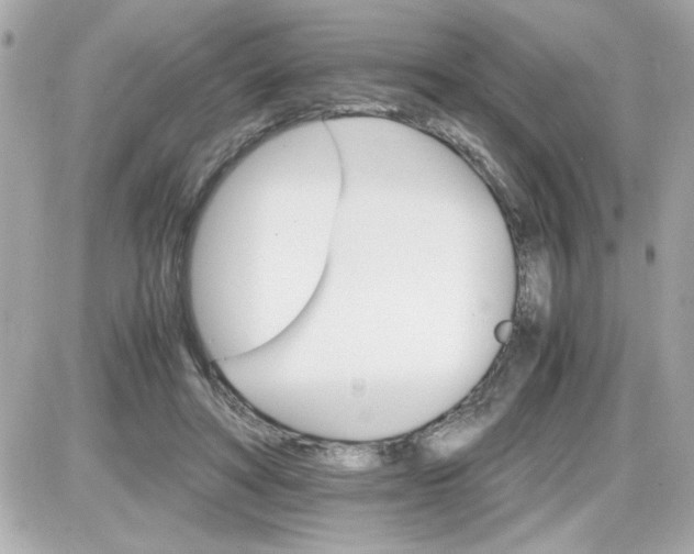 X0000087520402200705112011