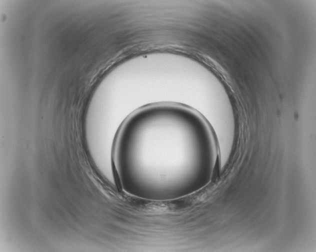 X0000087520405200705112011