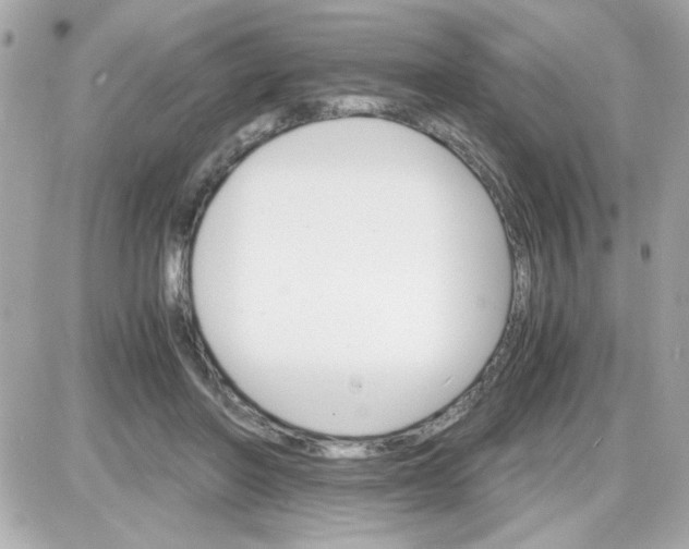 X0000087520406200705112011