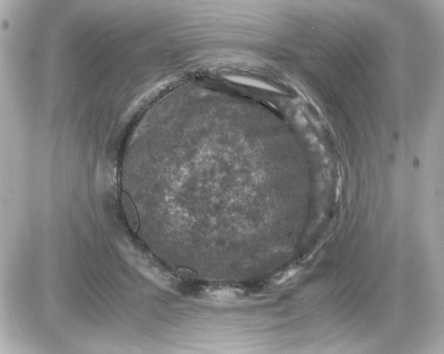 X0000087520407200705112011